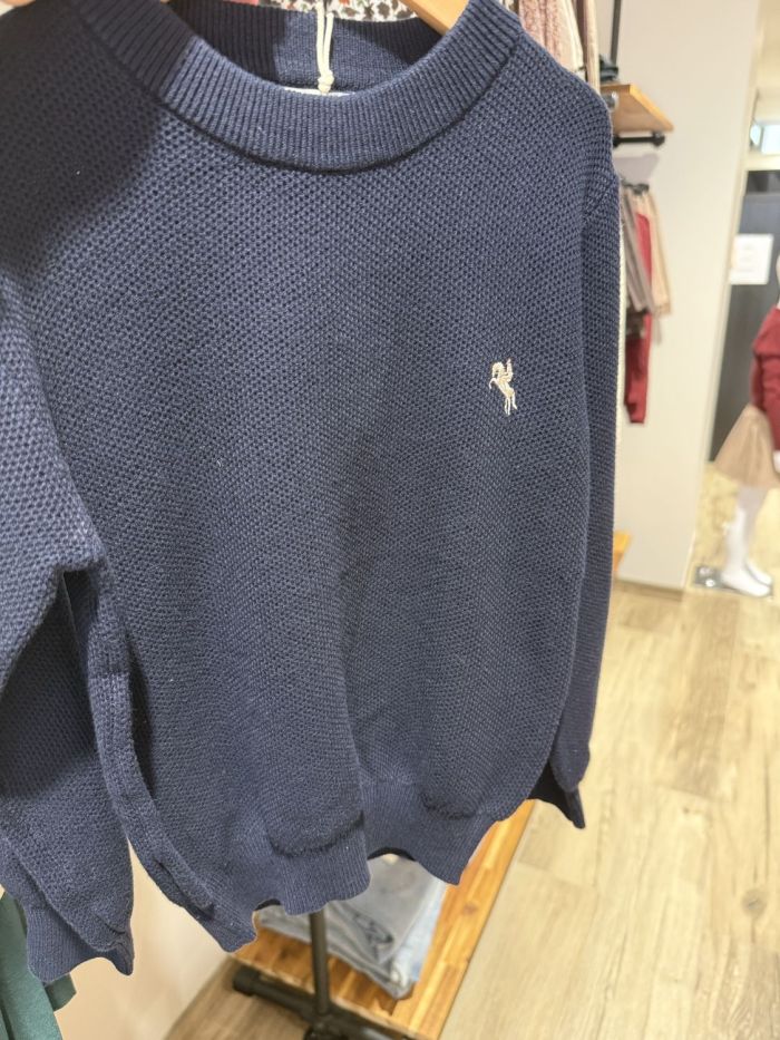 Pull logo cavalier